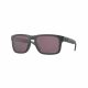 OAKLEY HOLBROOK FRAME-STEEL LENS-PRIZM DAILY POLARIZED