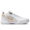 Nike LeBron NXXT Gen AMPD Equity White/Gold-Black 425