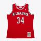 Mitchell & Ness NBA Dark Alternate Jersey Bucks 2014 Giannis Anteokounmpo Red L