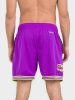 MITCHELL & NESS NBA FASHION NEON MESH SHORTS VINTAGE LOGO Toronto Raptors Purple