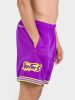 MITCHELL & NESS NBA FASHION NEON MESH SHORTS VINTAGE LOGO Toronto Raptors Purple