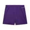 Mitchell & Ness NBA Gameday Mesh 7In Shorts Vintage Logo Los Angeles Lakers Purple