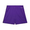 Mitchell & Ness NBA Gameday Mesh 7In Shorts Vintage Logo Toronto Raptors Purple M