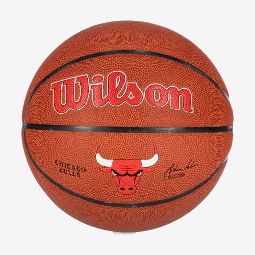 WILSON NBA TEAM COMPOSITE CHICAGO BULLS BASKETBALL 7 BROWN