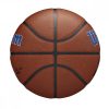 WILSON NBA TEAM ALLIANCE BSKT DETROIT PISTONS BROWN 7