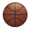 WILSON NBA TEAM ALLIANCE BSKT TORONTO RAPTORS BROWN